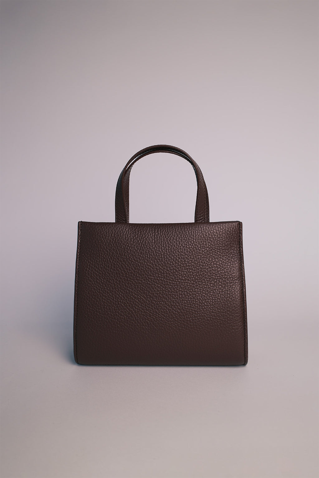Mini Handbag Autumn/Winter
